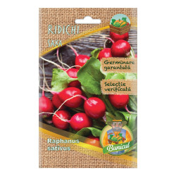 Seminte legume Micul Gradinar, ridichi Saxa