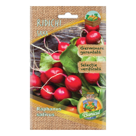 Seminte legume Micul Gradinar, ridichi Saxa