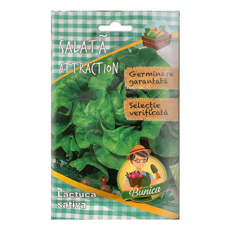Seminte legume Micul Gradinar, salata verde Attraction