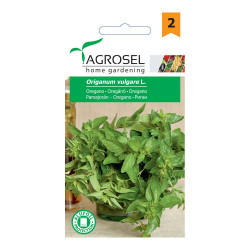 Seminte legume oregano AS-PG2