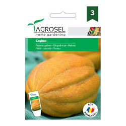 Seminte legume pepene galben Cosbuc AS-PG3