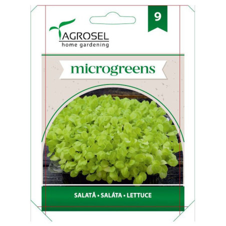 Seminte legume salata, AS-PG9, Agrosel
