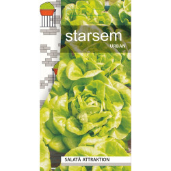 Seminte legume salata Attraktion ST-LG