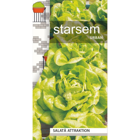 Seminte legume salata Attraktion ST-LG