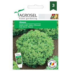 Seminte legume salata creata Alba Simona AS-PG3