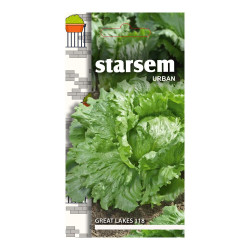 Seminte legume salata Great lakes 118 ST-LG