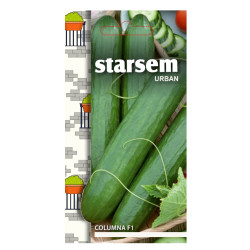 Seminte legume Starsem, castraveti lungi Columna F1