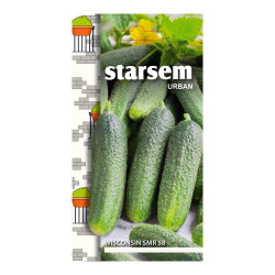 Seminte legume Starsem, castraveti Wisconsin SMR58