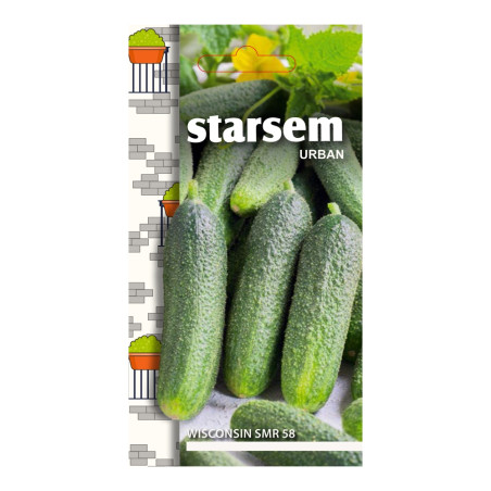 Seminte legume Starsem, castraveti Wisconsin SMR58