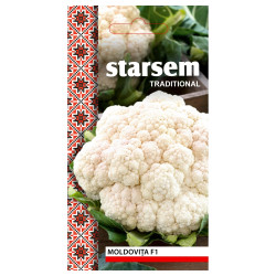 Seminte legume Starsem, conopida Moldovita