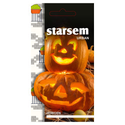 Seminte legume Starsem, dovleac Howden