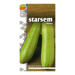 Seminte legume Starsem, dovlecel Bianca Goriziana