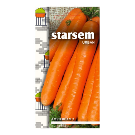 Seminte legume Starsem, morcovi Amsterdam
