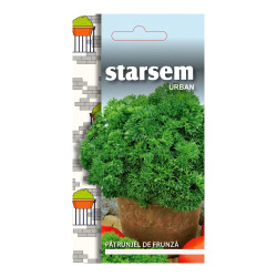 Seminte legume Starsem, patrunjel frunza Mos Curled
