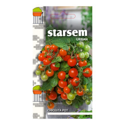 Seminte legume Starsem, tomate Chiquita pot