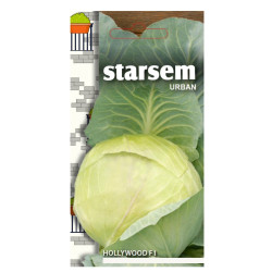 Seminte legume Starsem, varza Hollywood F1