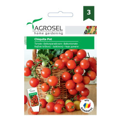 Seminte legume tomate Chiquita POT AS-PG3