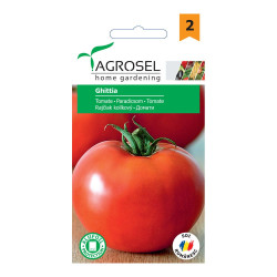 Seminte legume tomate Ghittia AS-PG2