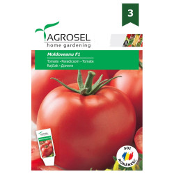 Seminte legume tomate Moldoveanu F1 AS-PG3, Agrosel
