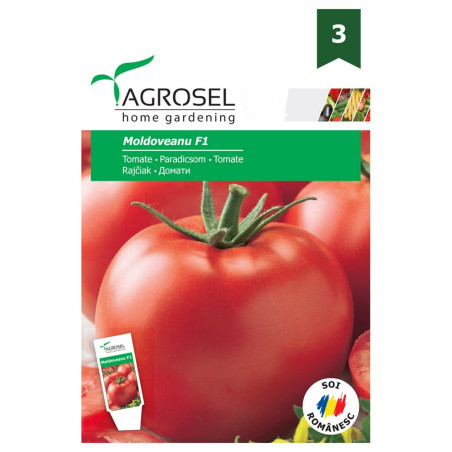 Seminte legume tomate Moldoveanu F1 AS-PG3, Agrosel