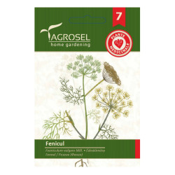 Seminte medicinale Agrosel, fenicul
