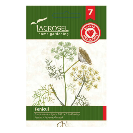 Seminte medicinale Agrosel, fenicul