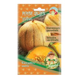 Seminte Micul Gradinar, pepene galben Ananas