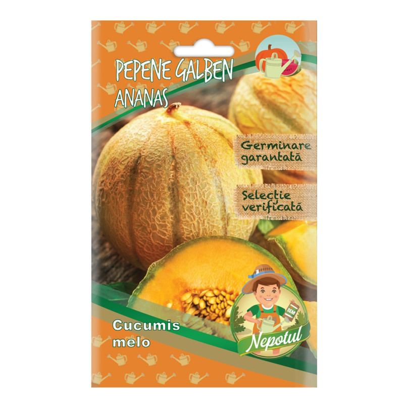 Seminte Micul Gradinar, pepene galben Ananas