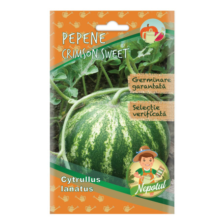Seminte Micul Gradinar, pepene verde Crimson Sweet