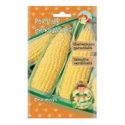 Seminte Micul Gradinar, porumb popcorn