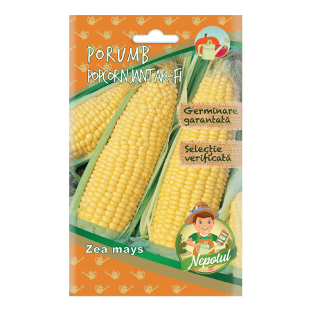 Seminte Micul Gradinar, porumb popcorn