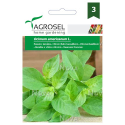 Seminte plante aromatice Agrosel, busuioc Lamaios