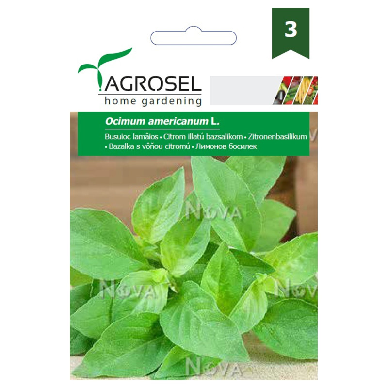 Seminte plante aromatice Agrosel, busuioc Lamaios