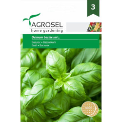 Seminte plante aromatice busuioc disc AS-PG3, Agrosel