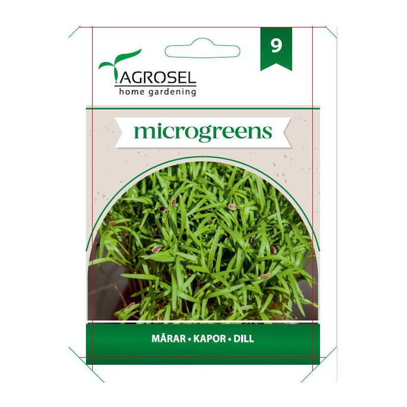 Seminte plante aromatice marar, AS-PG9