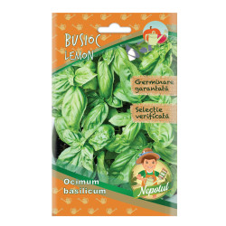Seminte plante aromatice Micul Gradinar, busuioc Lemon