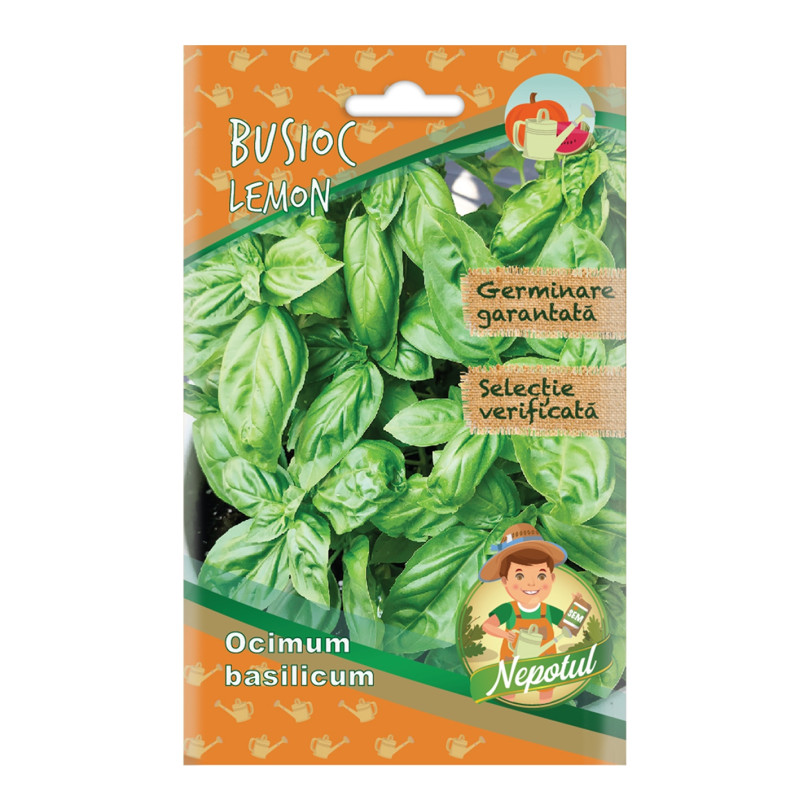 Seminte plante aromatice Micul Gradinar, busuioc Lemon
