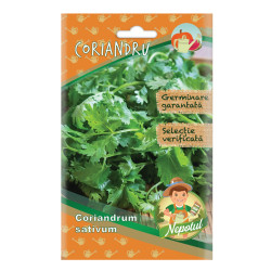 Seminte plante aromatice Micul gradinar, coriandru