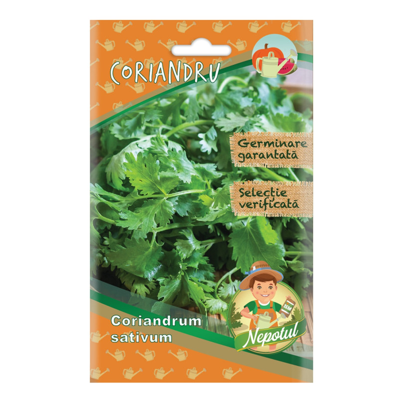 Seminte plante aromatice Micul gradinar, coriandru