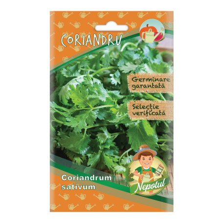 Seminte plante aromatice Micul gradinar, coriandru