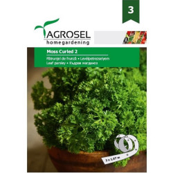 Seminte plante aromatice patrunjel frunze Moss curled, Agrosel