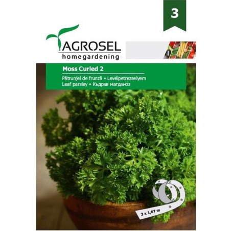Seminte plante aromatice patrunjel frunze Moss curled, Agrosel