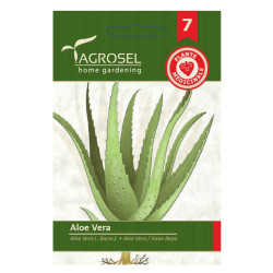 Seminte plante medicinale Agrosel, aloe vera