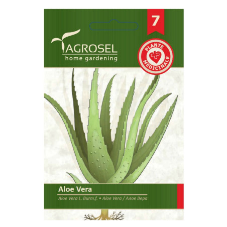 Seminte plante medicinale Agrosel, aloe vera
