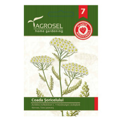 Seminte plante medicinale Agrosel, coada soricelului
