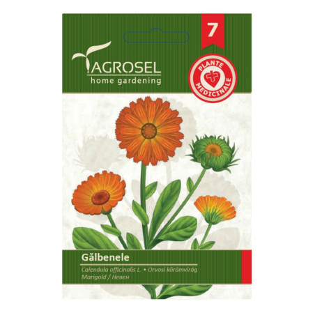 Seminte plante medicinale Agrosel, galbenele