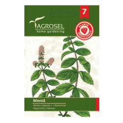 Seminte plante medicinale Agrosel, menta