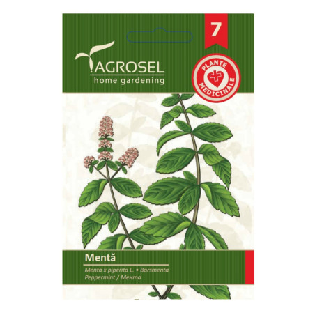 Seminte plante medicinale Agrosel, menta