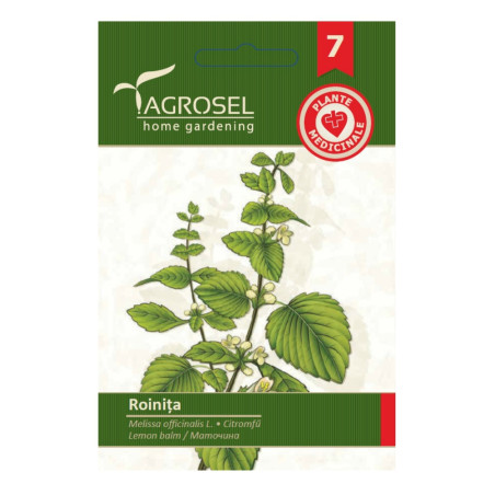 Seminte plante medicinale Agrosel, roinita