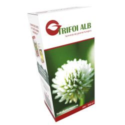 Seminte trifoi alb 891, 0.5 kg
